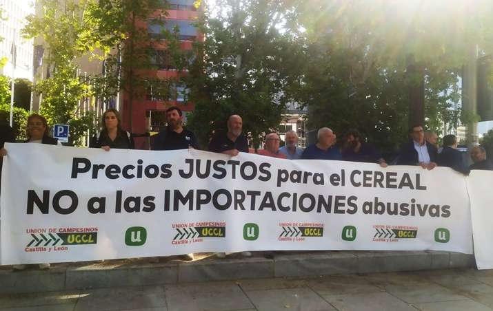 Іспанські фермери протестують проти українського зерна: чого вимагають Іспанські фермери протестують проти українського зерна: чого вимагають