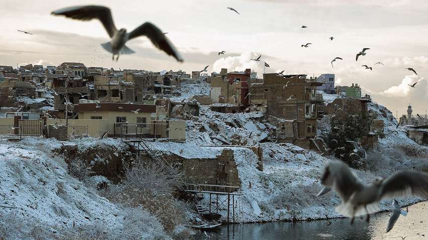 В Багдаде выпал снег: это второй случай за последних 100 лет