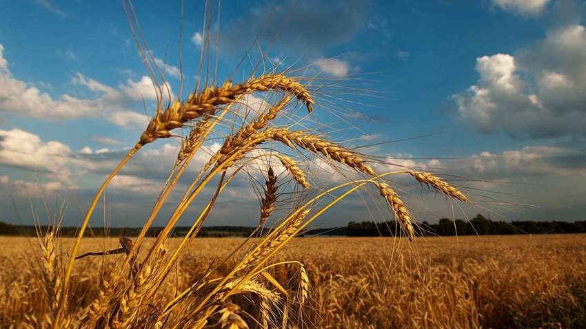 Оприлюднено прогноз погоди на четвер