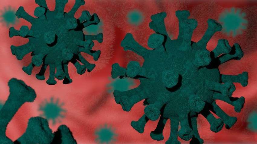 Вчені з Гонконгу опублікували першу фотографію штаму Омікрон Вчені з Гонконгу опублікували першу фотографію штаму Омікрон