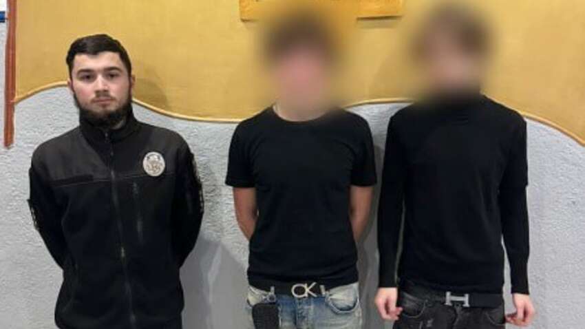 Скандал в соцсетях: подросток насиловал кота на камеру