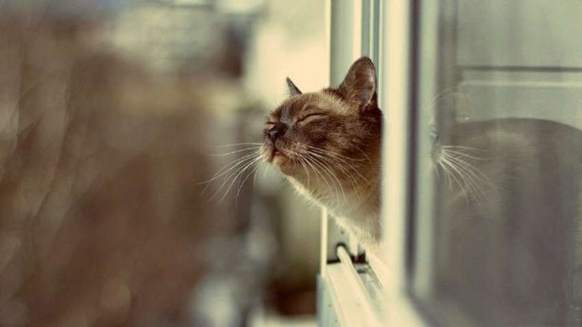 Заморозки, а потім спека: синоптик розповів про погоду у травні