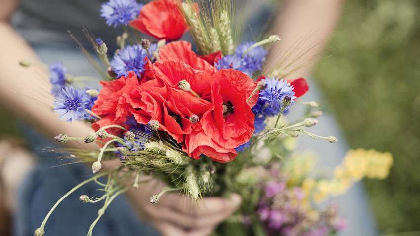 Праздник Маковея: ПЦУ развенчала популярный миф этого дня