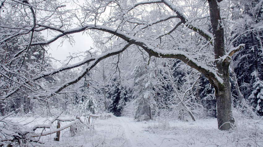 Циклон Oliver наближається до України: синоптик розповіла, де буде найсильніший удар стихії Циклон Oliver наближається до України: синоптик розповіла, де буде найсильніший удар стихії