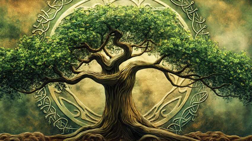 Какое вы дерево в Кельтском гороскопе