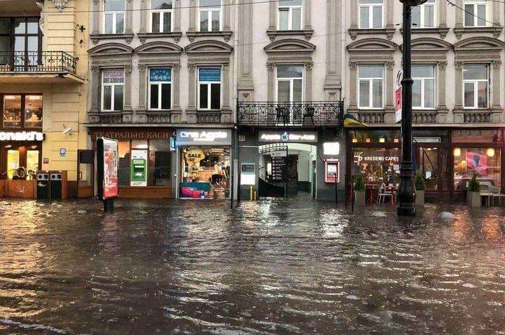 Буря накрыла Львов: деревья упали на школы, побиты машины  Буря накрыла Львов: деревья упали на школы, побиты машины