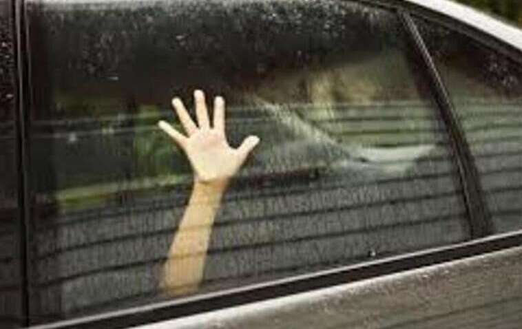 Все ради лайков: в Запорожье блоггеры пытались похитить школьника