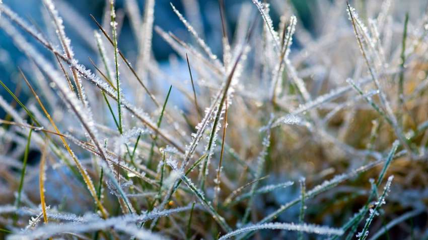 Синоптики попереджають: в Україну повертається мороз