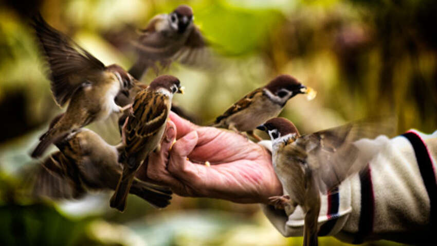 Этот метод доступен каждому: ученые раскрыли, что может замедлить старение мозга
