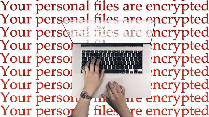 В сети продают базы данных украинцев из Дия за 15 тысяч долларов: настоящие ли они - рассказали эксперты 