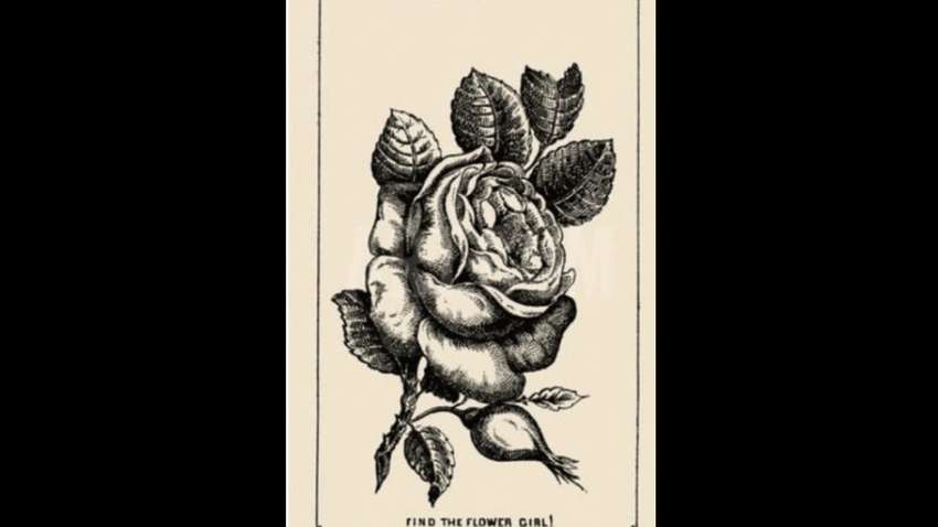 Винтажная иллюзия 1800-х годов: сможет ли ваш мозг найти скрытое лицо за 20 секунд Винтажная иллюзия 1800-х годов: сможет ли ваш мозг найти скрытое лицо за 20 секунд