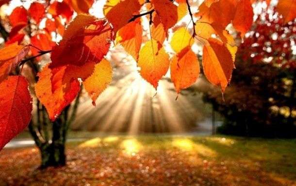 Синоптики розповіли, коли в Україні похолодає