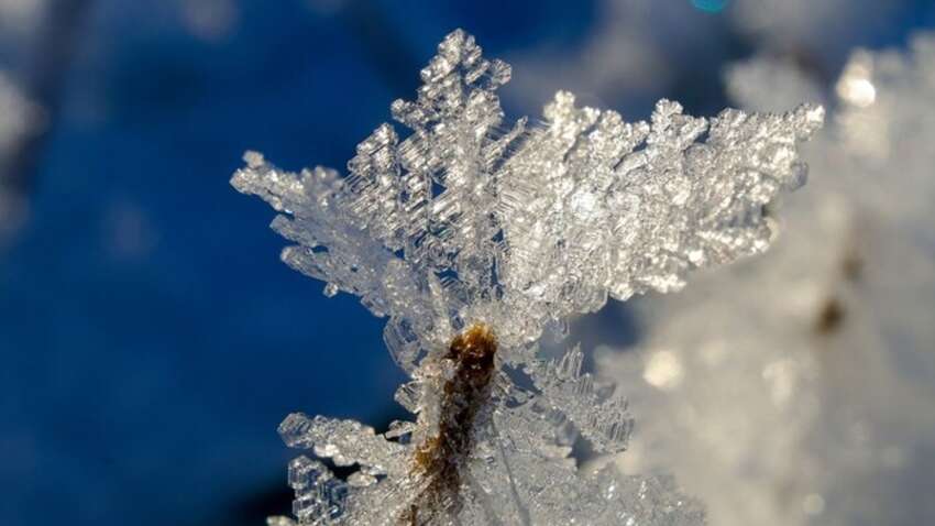 Какой церковный праздник 15 декабря: главные приметы и запреты этого дня Какой церковный праздник 15 декабря: главные приметы и запреты этого дня