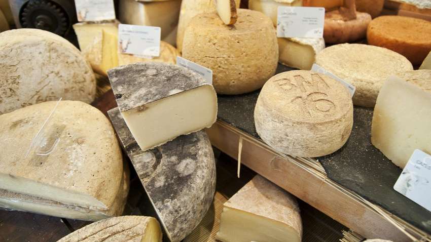 На завтрак, обед и ужин: французов призвали выполнить долг перед государством, поедая сыры