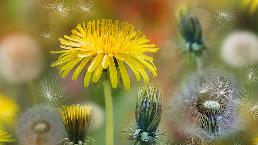 Онкологи назвали напиток, который поможет уберечься от рака Онкологи назвали напиток, который поможет уберечься от рака