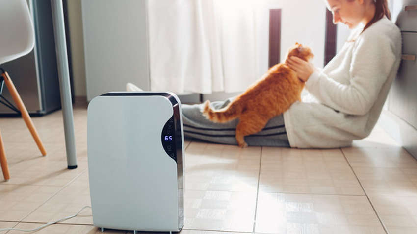 Пять умных гаджетов для дома, улучшающих здоровье