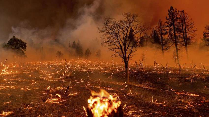 Дома пылают, людей эвакуируют: что происходит в Калифорнии (ВИДЕО)