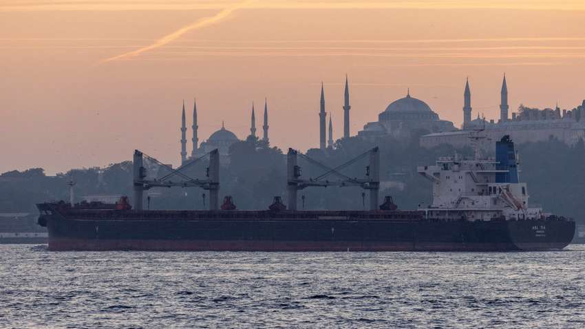 Британские самолеты начали патрулировать Черное море для защиты судов с украинским зерном