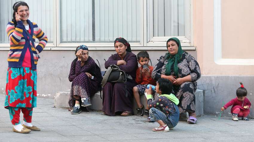 Ромський скандал в Івано-Франківську і спалах коронавірусу в зоопарку: новини, які ви могли пропустити