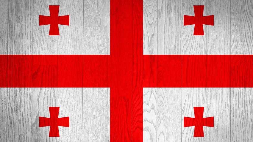 Что ответили власти Грузии на заявление российского МИД о НАТО