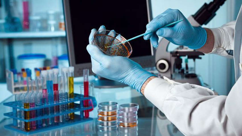 Создана чудо-пленка, отталкивающая вирусы и бактерии