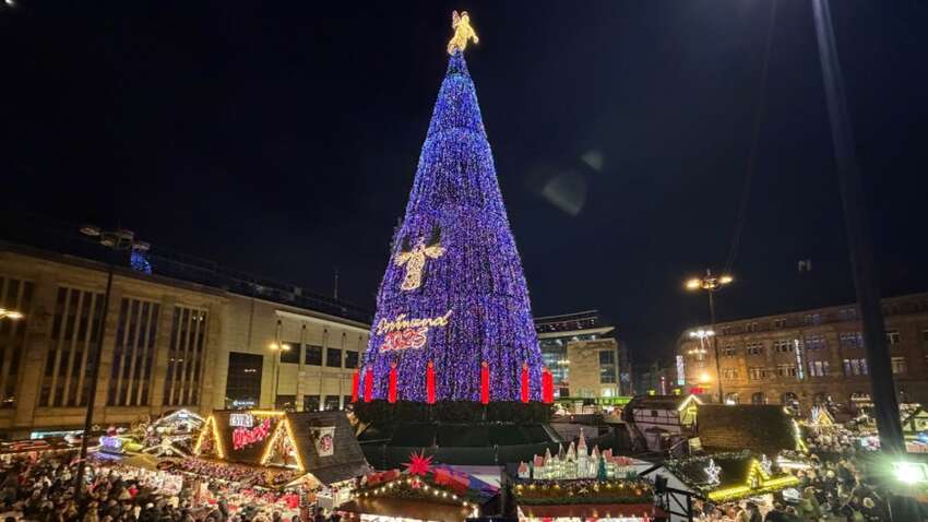 В Германии установлена самая высокая в мире елка: как она выглядит (ВИДЕО) В Германии установлена самая высокая в мире елка: как она выглядит (ВИДЕО)
