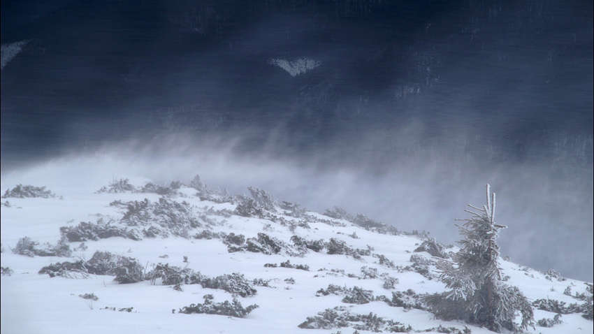 Карпаты засыпает снегом: спасатели предупредили об ухудшении погоды Карпаты засыпает снегом: спасатели предупредили об ухудшении погоды