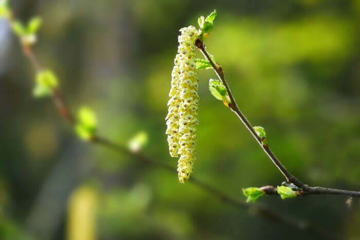 2 мая: главные запреты и приметы дня