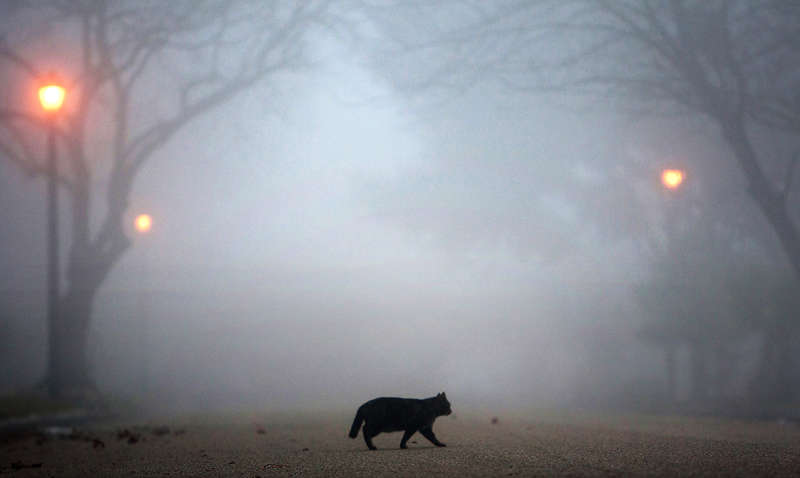 Погода в Україні сьогодні: туман протримається довше
