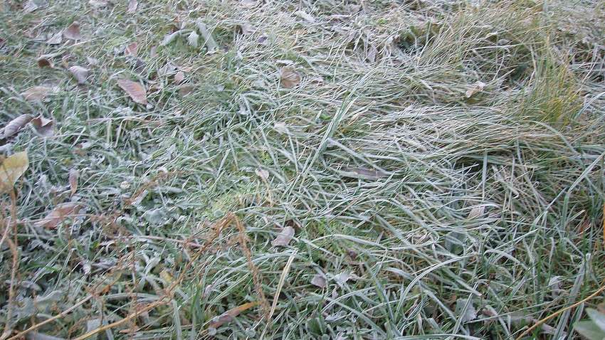 В Україні очікується різке похолодання: синоптики спрогнозували морози та мокрий сніг В Україні очікується різке похолодання: синоптики спрогнозували морози та мокрий сніг