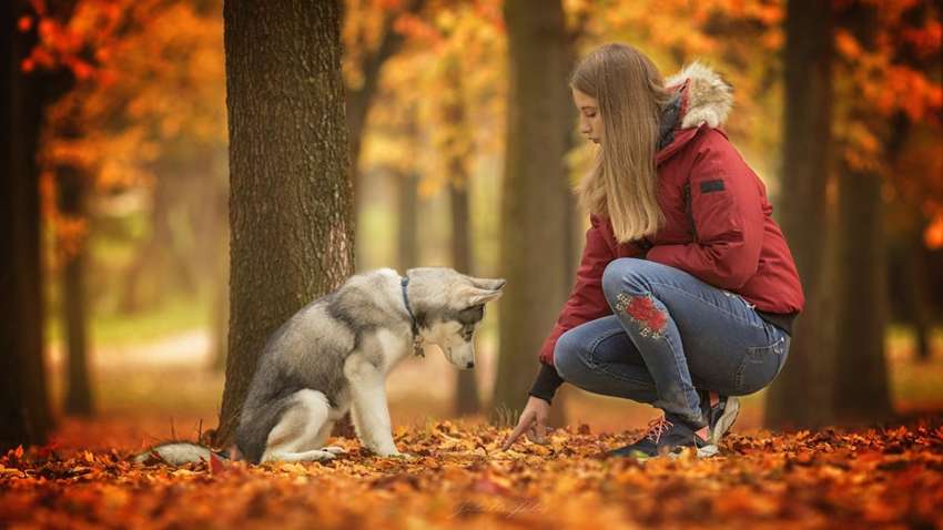 В Украину возвращается тепло, воздух прогреется до +20