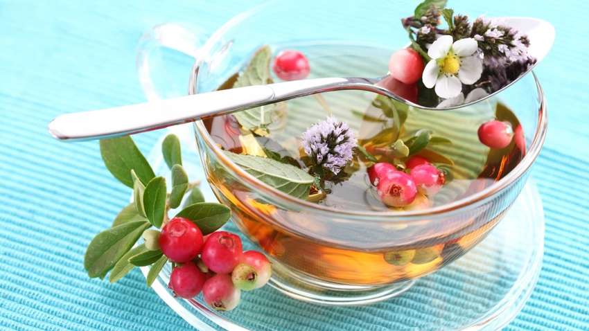 20 кращих природних антибіотиків