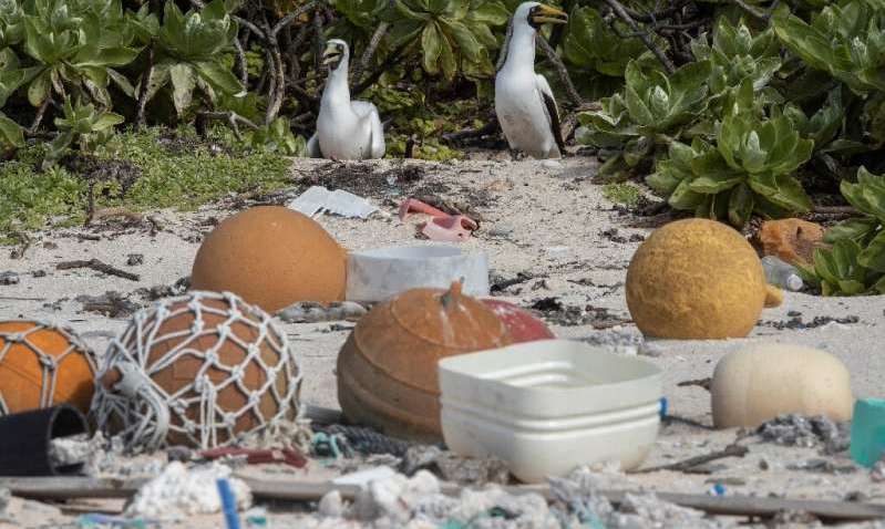В Тихом океане появился мусорный остров 