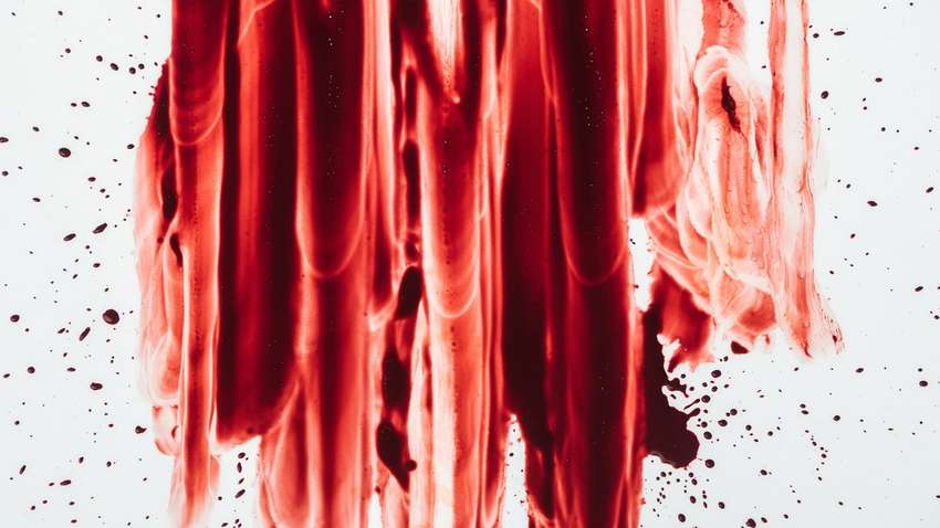 В 2019 году в мире убили почти полсотни журналистов