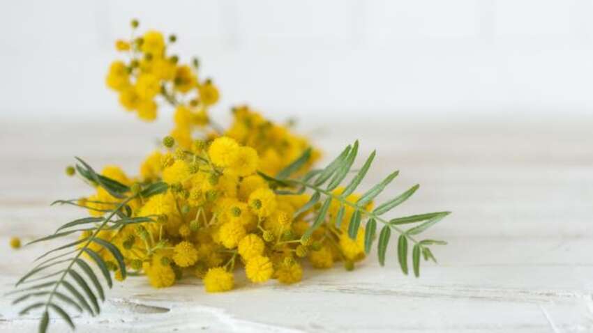 Церковне свято 7 квітня: головні заборони у Великий вівторок