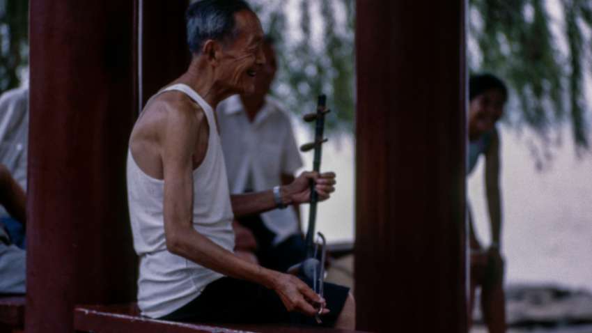 Ученые выяснили, как сохранить мышцы в пожилом возрасте Ученые выяснили, как сохранить мышцы в пожилом возрасте