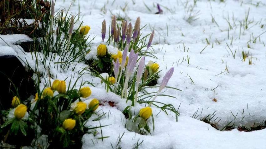 Мороз і сніг: гідрометцентр попереджає про погіршення погоди в Україні