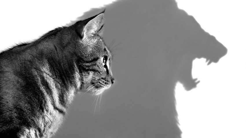 Три способи швидше повернути впевненість у собі: тобі потрібно це знати