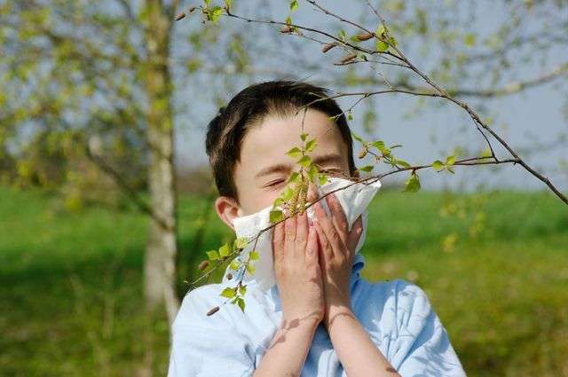 В Украине запретили лекарства от аллергии 