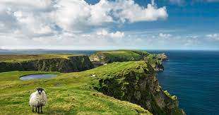 Ирландия обновляет правила приема украинских беженцев: новые сроки и выплаты Ирландия обновляет правила приема украинских беженцев: новые сроки и выплаты