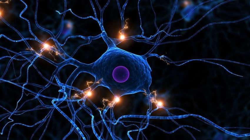 Дослідники Массачусетського технічного університету представили роботизовану тканину для мозку