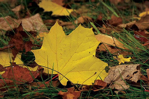 Погода в Украине: кого ждет сентябрьская жара