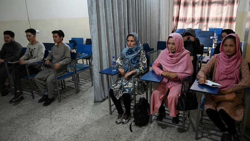 В Афганістані таліби заборонили дівчатам здобувати вищу освіту