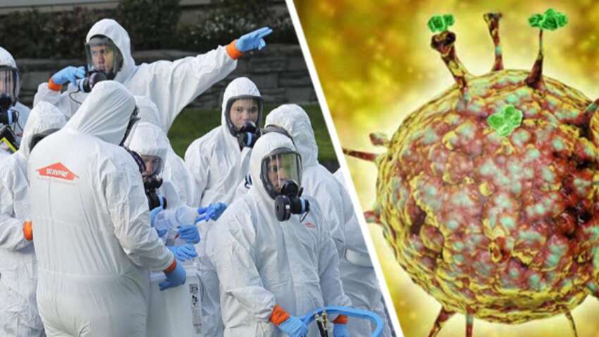 Смертельно опасный вирус Нипах распространяется по миру: ВОЗ подтвердила новый летальный случай