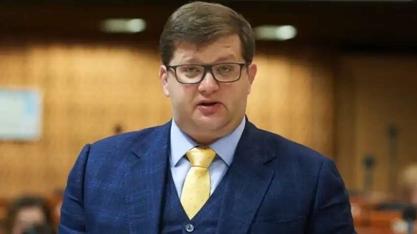 "Мамины черешни": нардеп Арьев высказался о мужчинах за границей (ВИДЕО)