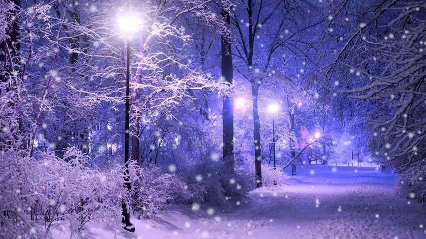 У яких областях України у вихідні буде йти сніг: прогноз погоди