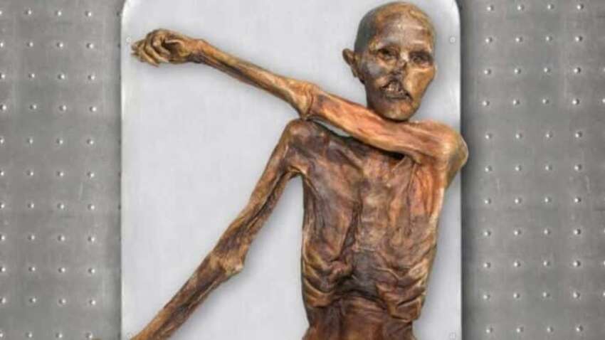 ДНК ледяного человека указала на пропавших предков, не имеющих аналогов на Земле