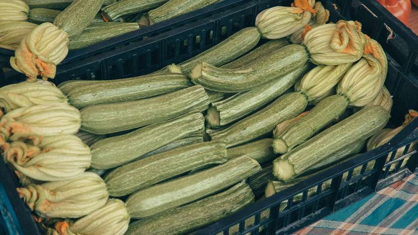 Сезон кабачків: 15 цікавих рецептів, які вас здивують своїм смаком Сезон кабачків: 15 цікавих рецептів, які вас здивують своїм смаком