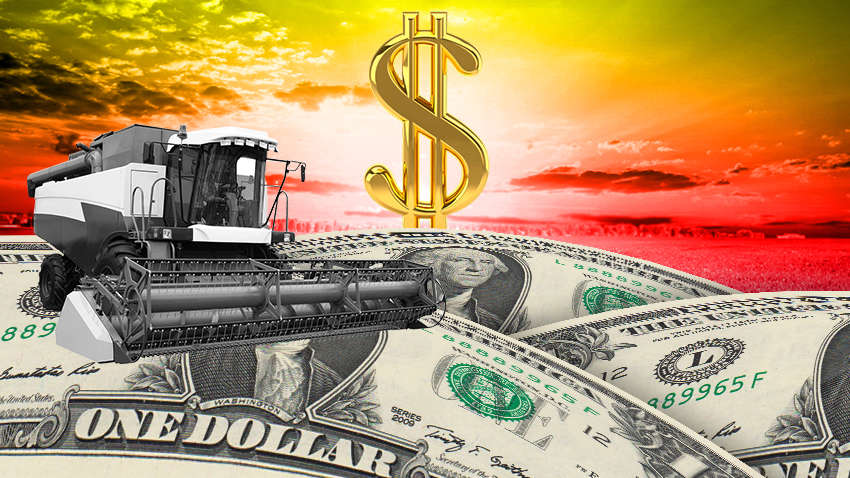 Запуск рынка земли в Украине: перспективы и риски 2021 года Запуск рынка земли в Украине: перспективы и риски 2021 года