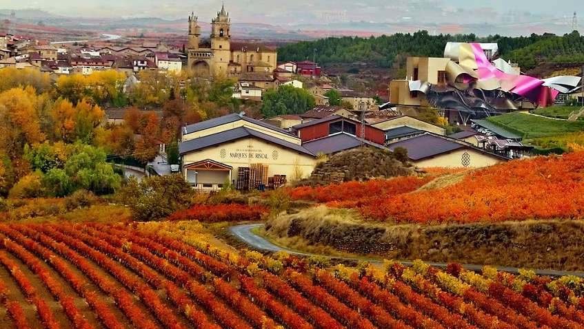 Из земли пришло – в землю и ушло: В Испании 50 тыс литров вина вылилось из цистерны Из земли пришло – в землю и ушло: В Испании 50 тыс литров вина вылилось из цистерны